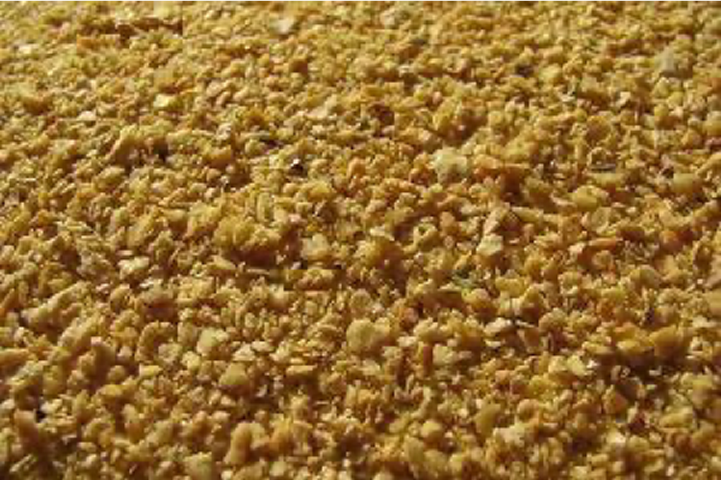 Soybean Meal
